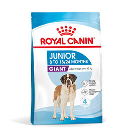 Royal Canin Junior Giant pienso para perros