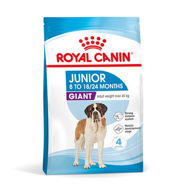 Royal Canin Junior Giant pienso para perros
