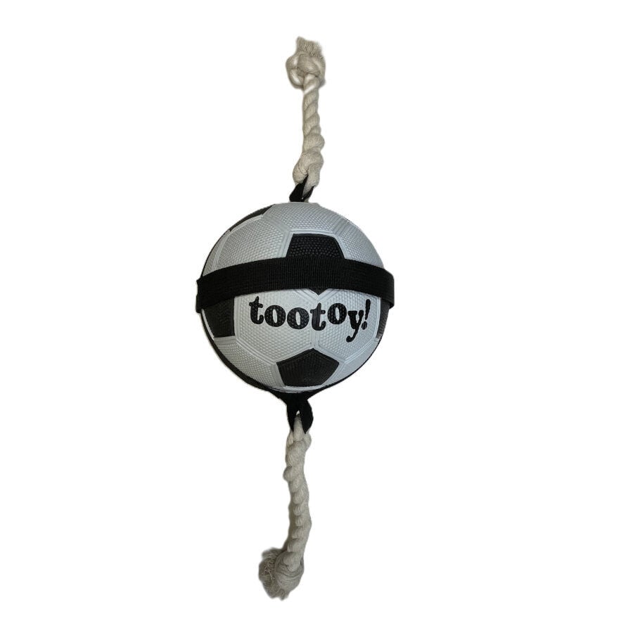 Tootoy! Chase Large Football pelota para perros, , large Imagen numero 2