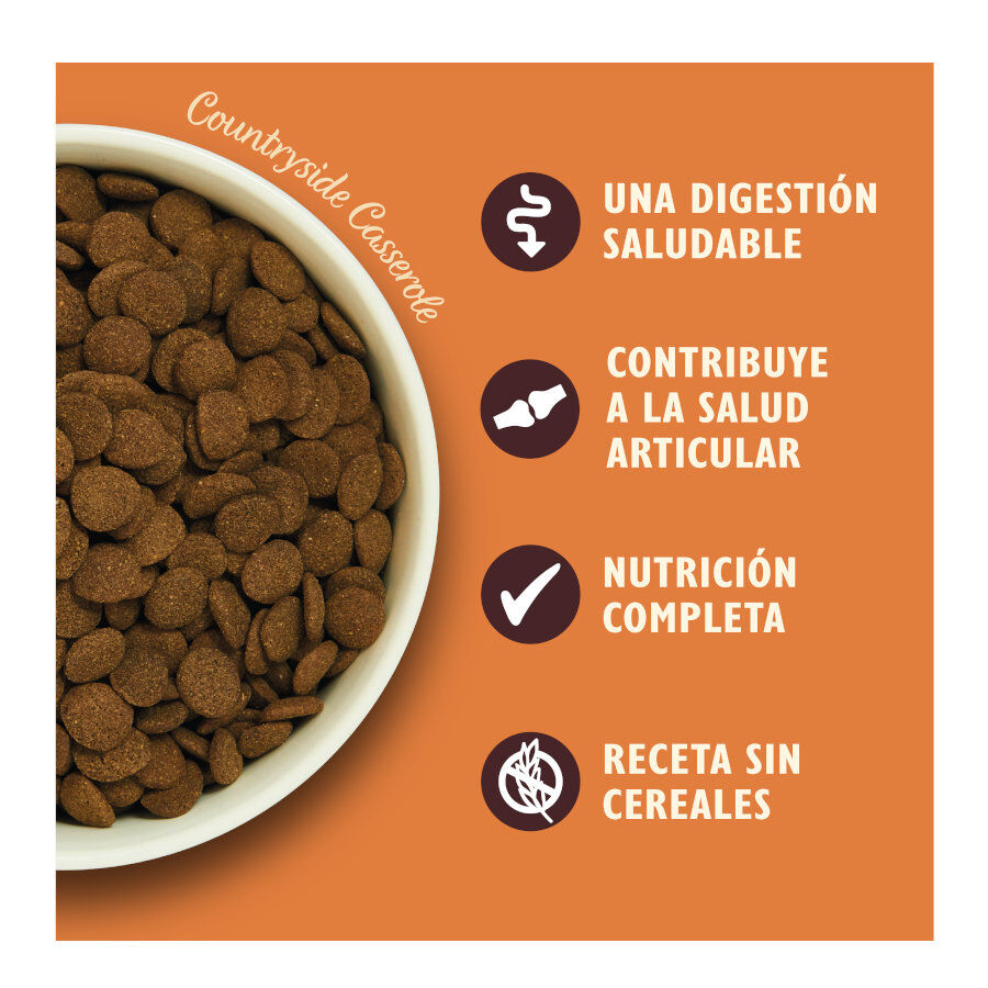 Lily&#039;s Kitchen Adult Pollo y Pato pienso para perros thumbnail