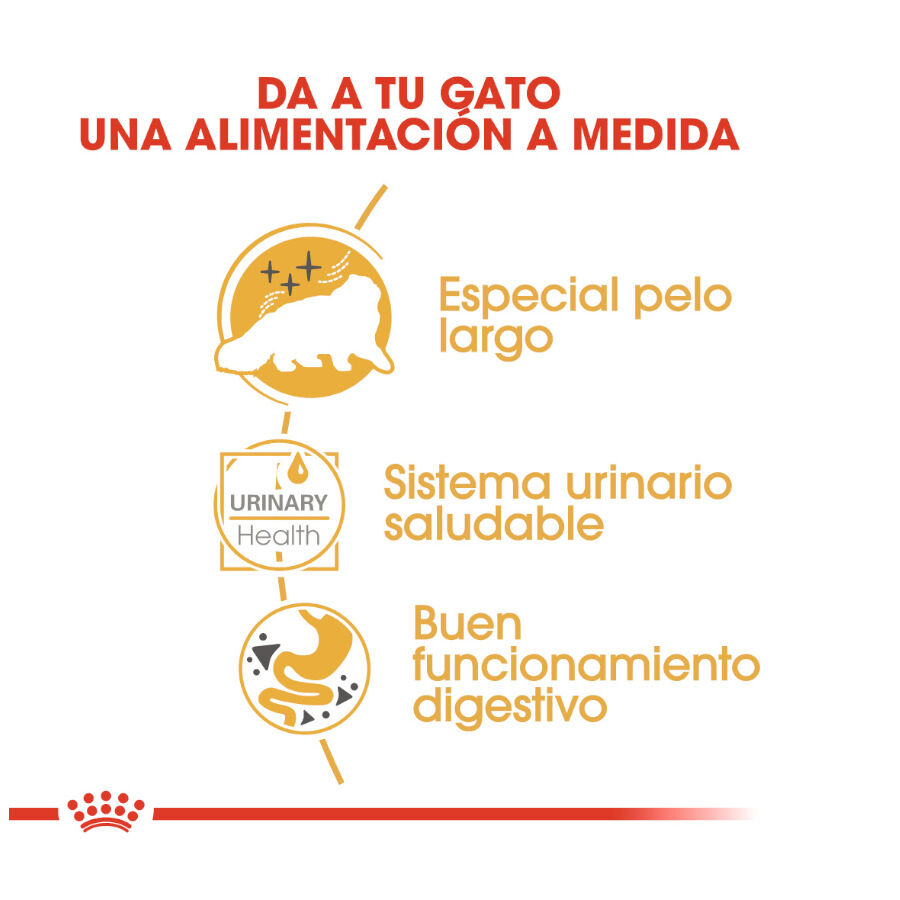 Royal Canin Feline Persian Adult sobres para gatos thumbnail