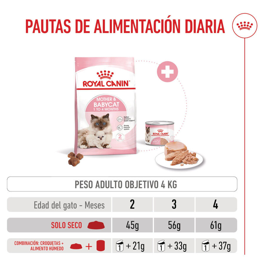 Royal Canin Mother &amp; Babycat pienso para gatos thumbnail