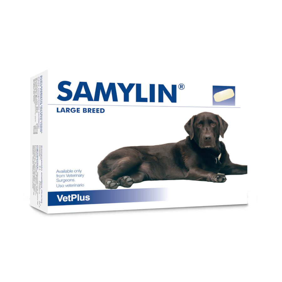 30 comprimidos VetPlus Samylin Complemento Vitam&iacute;nico para perros, , large Imagen numero 1
