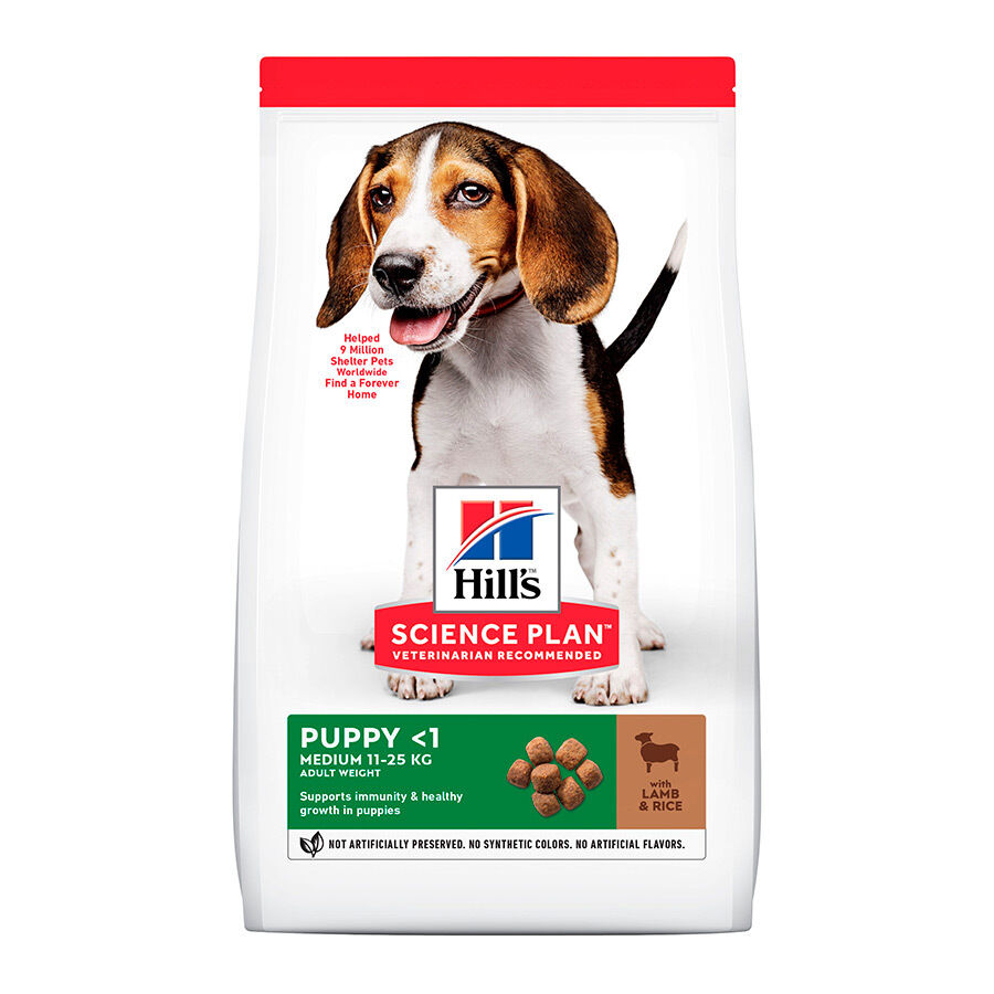 Hill&#039;s Science Plan Puppy Medium Cordero y arroz Pienso para perros