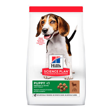 Hill's Science Plan Puppy Medium Cordero y arroz Pienso para perros