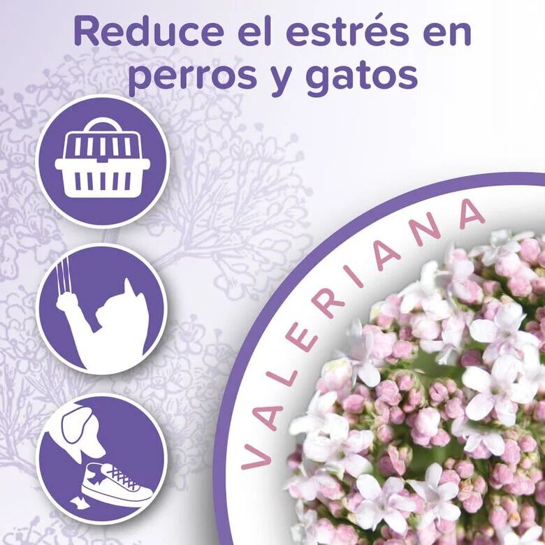 Beaphar Calming Spray Ambiente Relajante para gatos y perros thumbnail