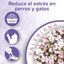 Beaphar Calming Spray Ambiente Relajante para gatos y perros, , large indicador imagen numero 3