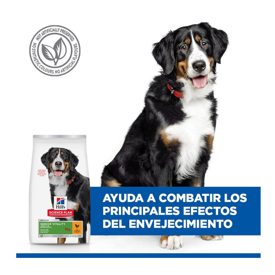14 kg Hill's Science Plan Youthful vitality Large pienso para perros, , large Imagen numero 6