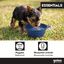 Gotoo Comedero Plegable y Port&aacute;til de Silicona Azul para perros y gatos, , large indicador imagen numero 5