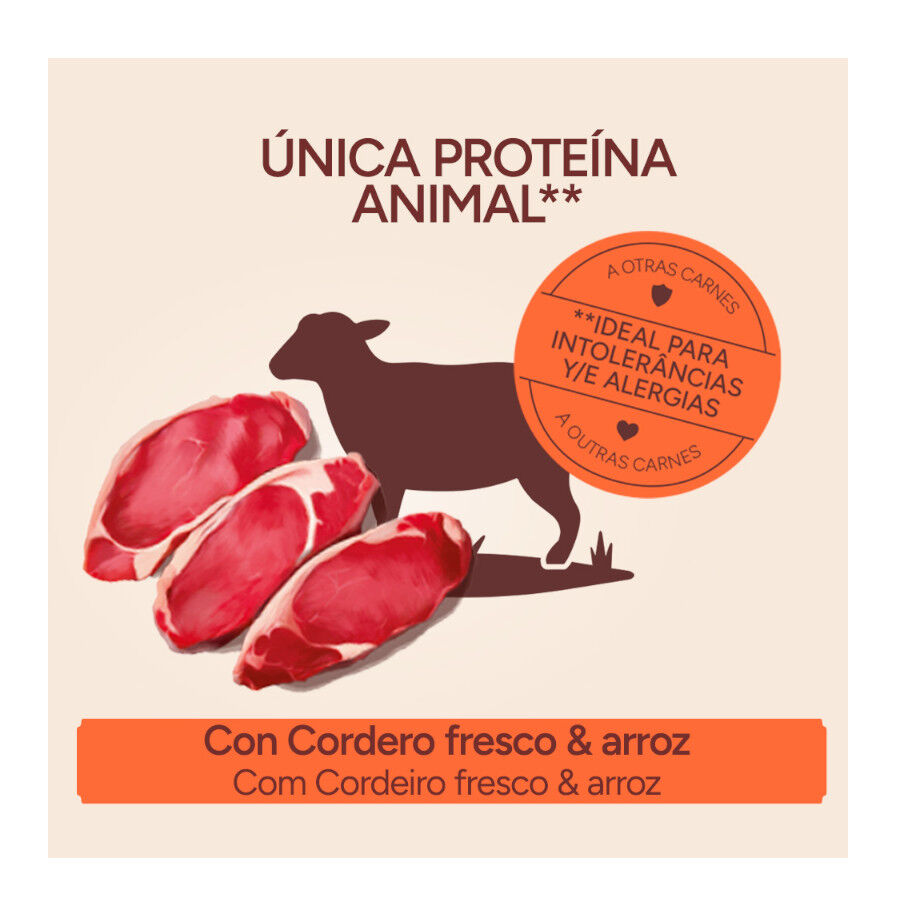 10 kg Criadores Monoproteico Adulto con Cordero pienso para perros, , large Imagen numero 3