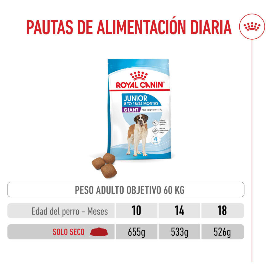 Royal Canin Junior Giant pienso para perros thumbnail