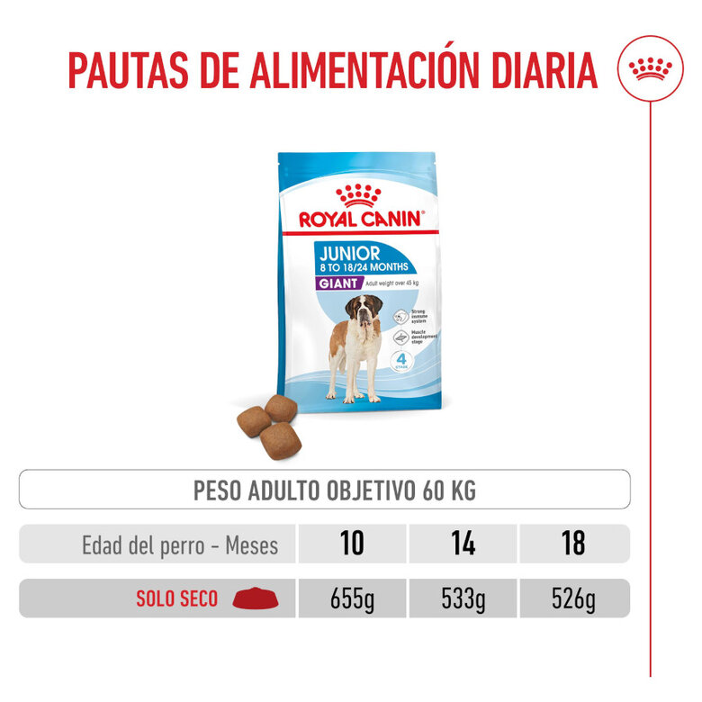 15 kg Royal Canin Junior Giant pienso para perros,  Imagen numero 7 15 kg Royal Canin Junior Giant pienso para perros, , large Imagen numero 7