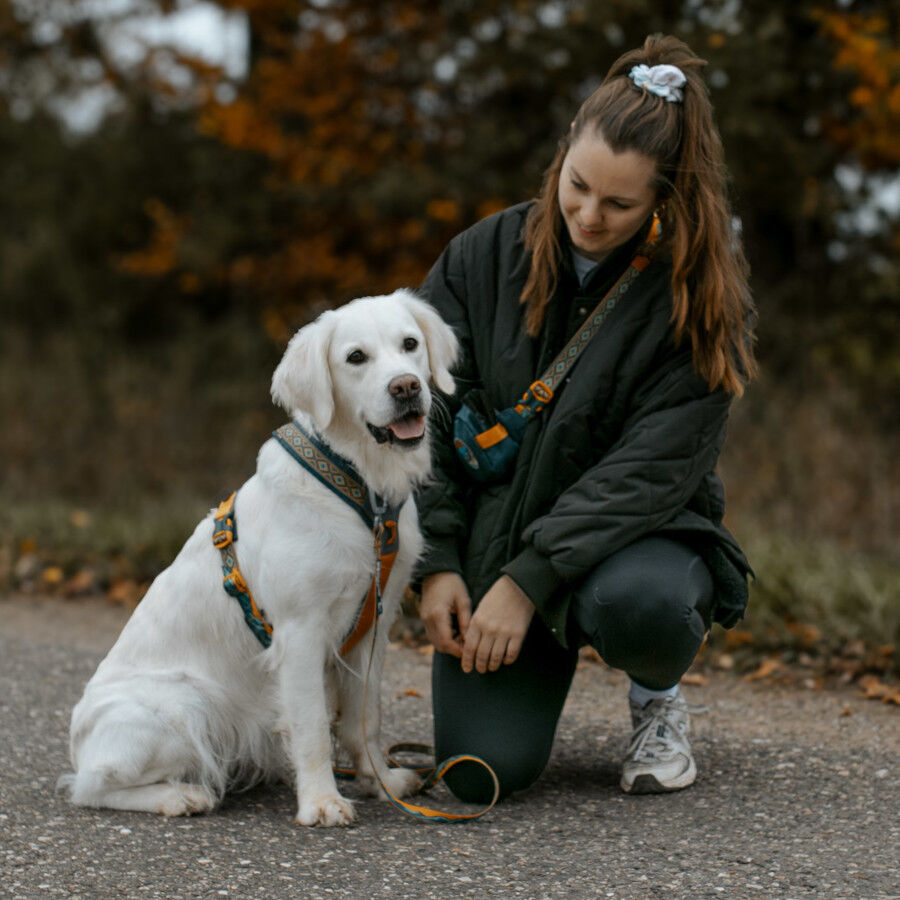 Non-stop Dogwear Arn&eacute;s Turquesa y Roble para perros, , large Imagen numero 2