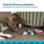 Outward Hound Catstages Dental Shrimpies Peluches con Plumas para gatos, , large indicador imagen numero 6