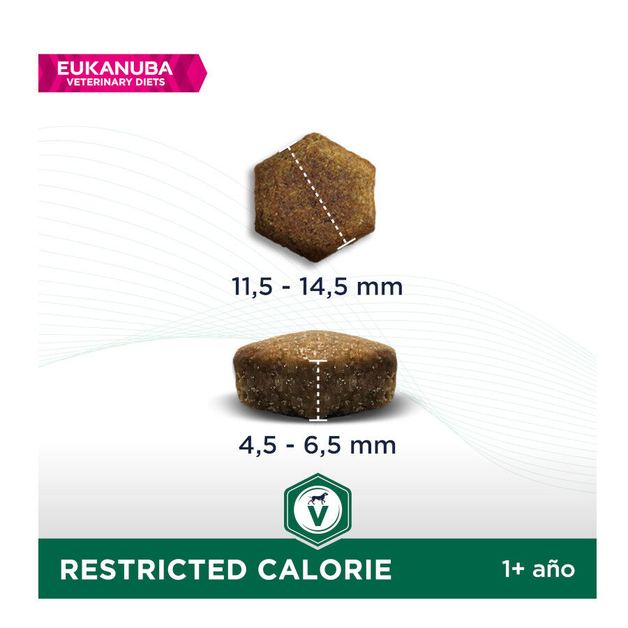 Eukanuba Veterinary Diets Restricted Calorie pienso para perros thumbnail