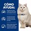 1.5 kg Hill's Prescription Diet Urinary Care c/d pescado azul pienso para gatos, , large indicador imagen numero 4