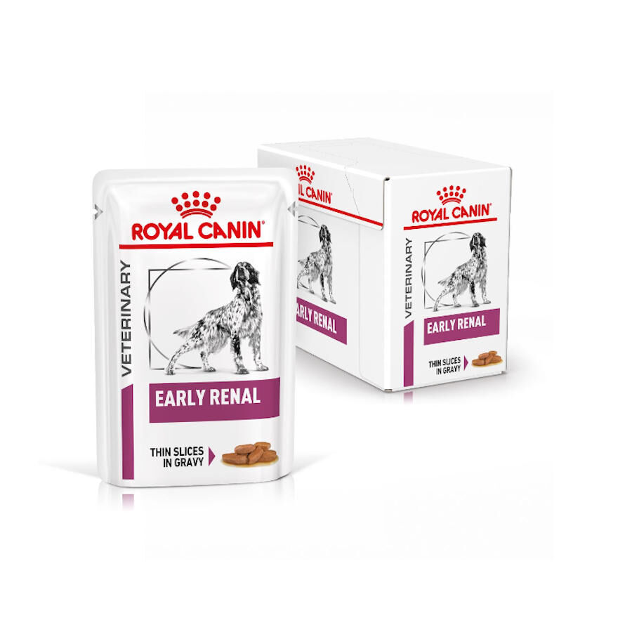 12 sobres x 100 g Royal Canin Veterinary Early Renal sobre en salsa para perros, , large Imagen numero 1