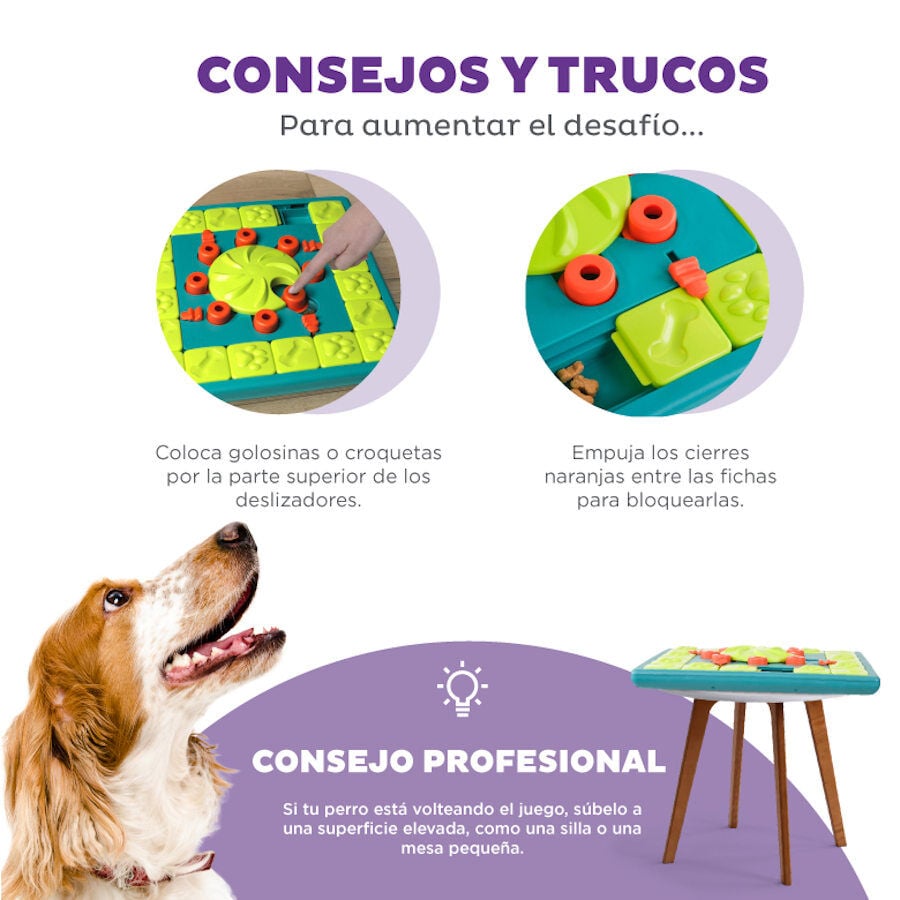 Juegos de inteligencia para perros kiwoko hot sale