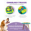 Outward Hound Multi Puzzle de Inteligencia para perros, , large indicador imagen numero 4