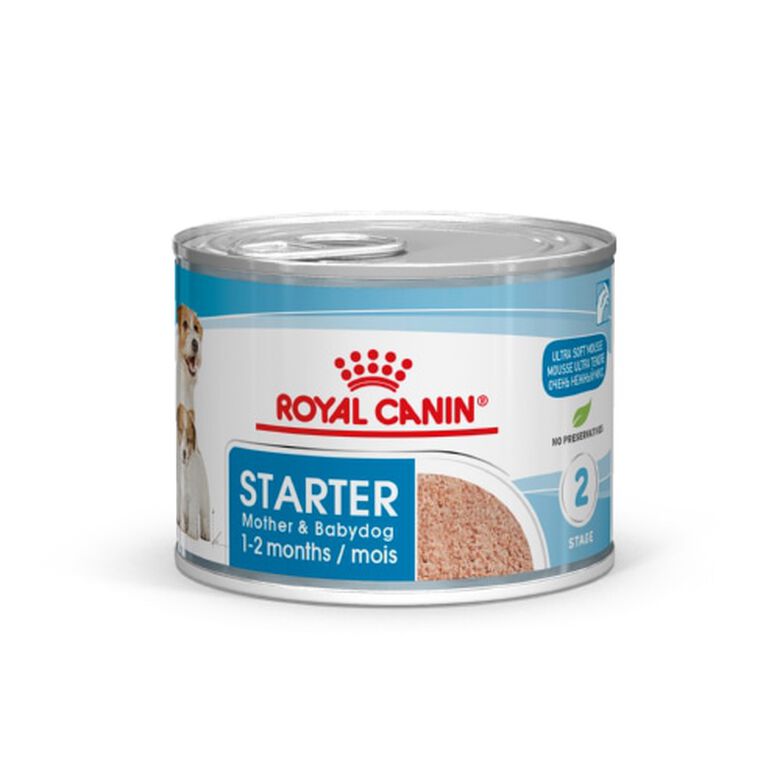Royal Canin Starter Mommy &amp; Baby mousse latas para perros thumbnail