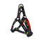Gotoo  Arnés estampado calavera negro para perros, , large indicador imagen numero 1