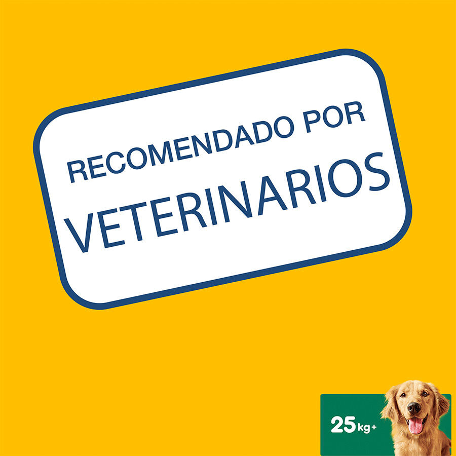 Pedigree Dentastix Snacks Dentales para perros grandes thumbnail