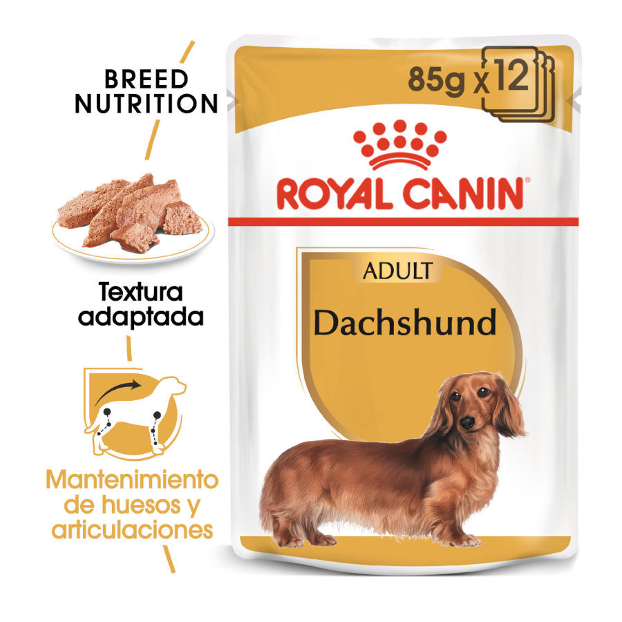 Royal Canin Adult Teckel paté en sobre para perros thumbnail