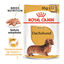 85 g Royal Canin Adult Teckel paté en sobre para perros, , large indicador imagen numero 2