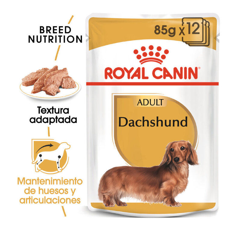 85 g Royal Canin Adult Teckel paté en sobre para perros,  Imagen numero 2 85 g Royal Canin Adult Teckel paté en sobre para perros, , large Imagen numero 2