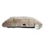 Ombala Desert Mattress Colchón Beige para perros, , large indicador imagen numero 1