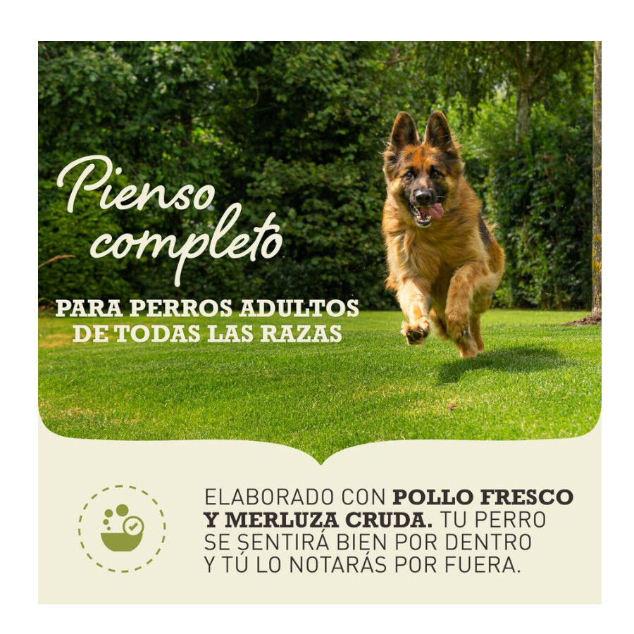 Acana Light &amp; Fit pienso para perros thumbnail