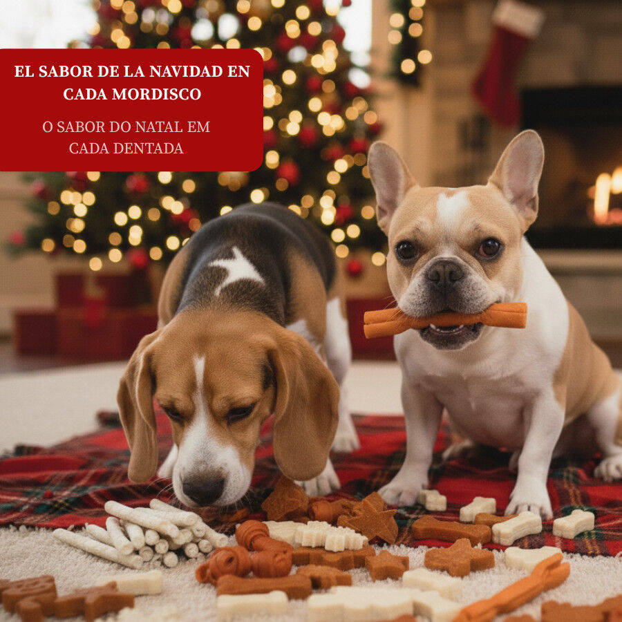 Wonder Christmas Surtido de Galletas Navideñas para perros thumbnail