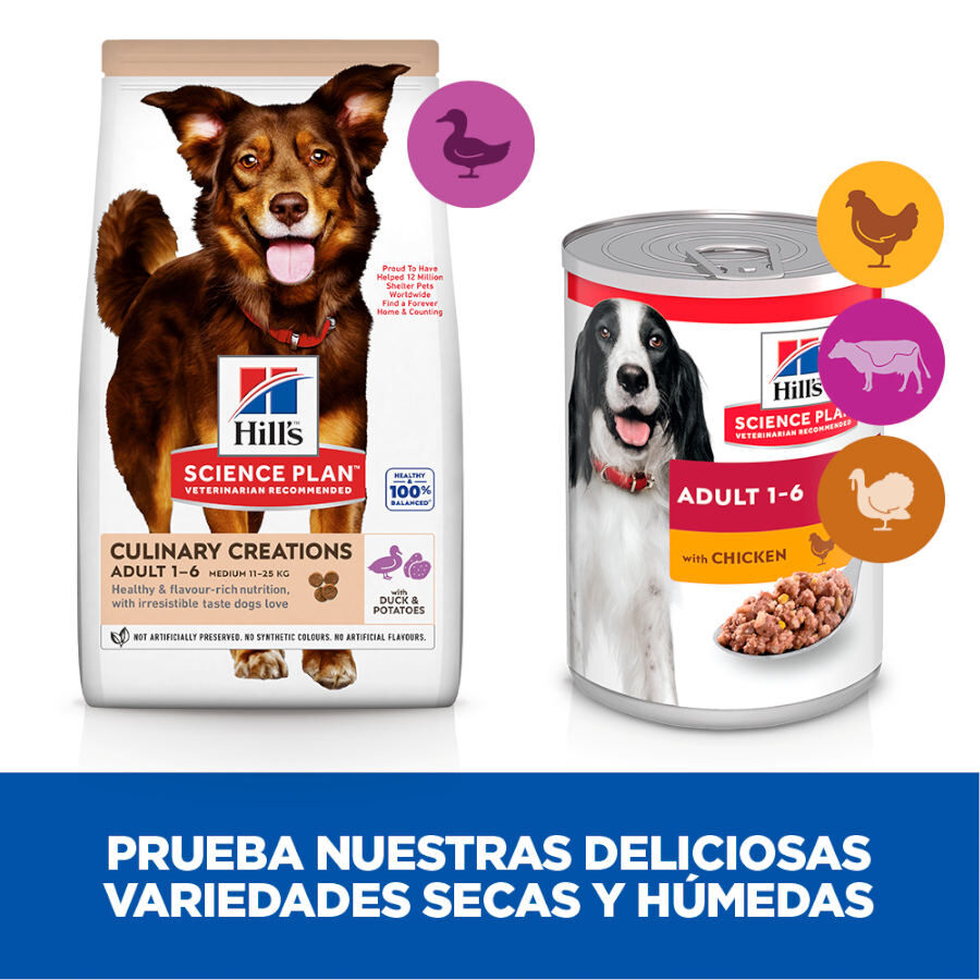 2.5 kg Hill's Science Plan Culinary Creations Pato y Patata pienso para perros medianos, , large Imagen numero 7