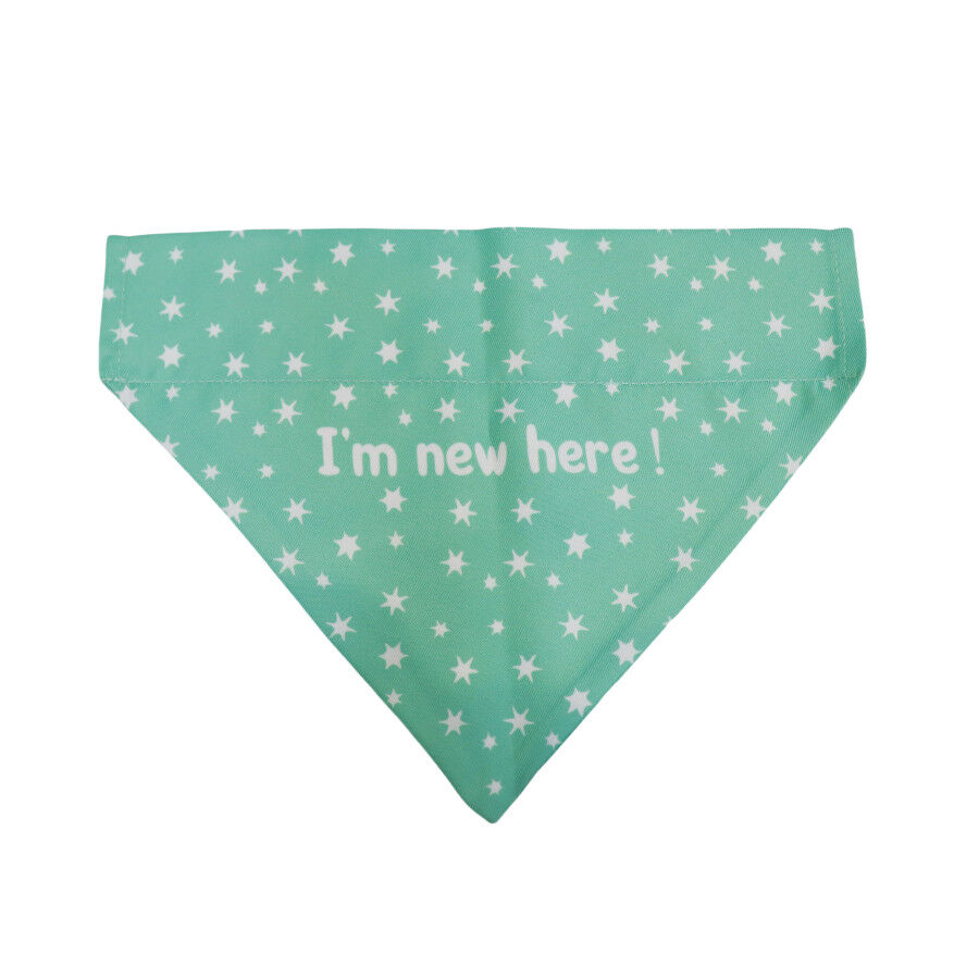 Gotoo Bandana estampada verde para perros, , large Imagen numero 1