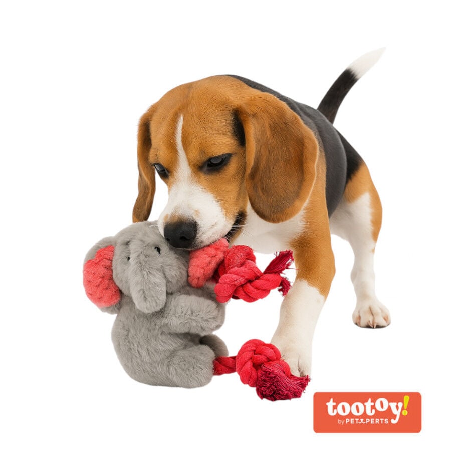 Tootoy! Comfort Climbing Elephant Cuddler peluche para perros, , large Imagen numero 2