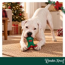 Wonder Christmas Pulpo L&aacute;tex Juguete para perros
