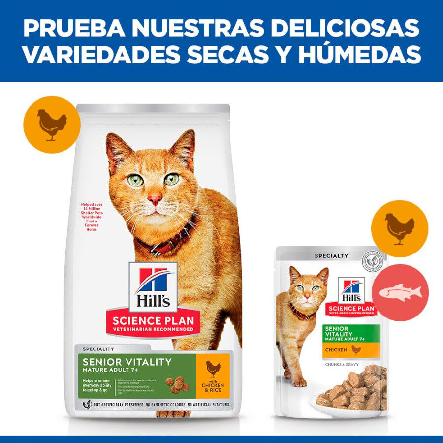 Hill&#039;s Science Plan Youthful Vitality Pollo pienso para gatos thumbnail
