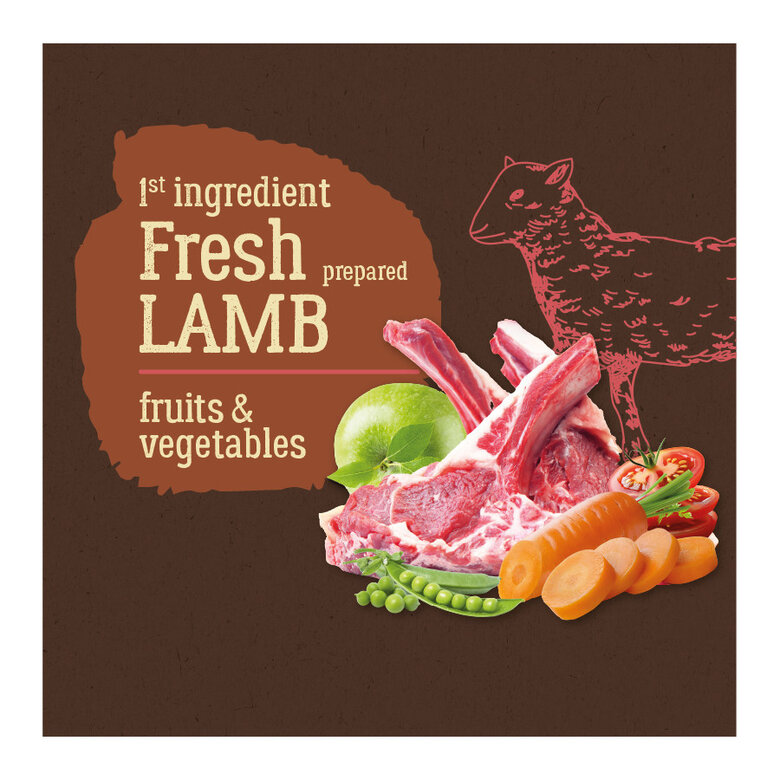 12 kg True Origins Pure Grain Free Adult Cordero pienso para perros,  Imagen numero 2 12 kg True Origins Pure Grain Free Adult Cordero pienso para perros, , large Imagen numero 2