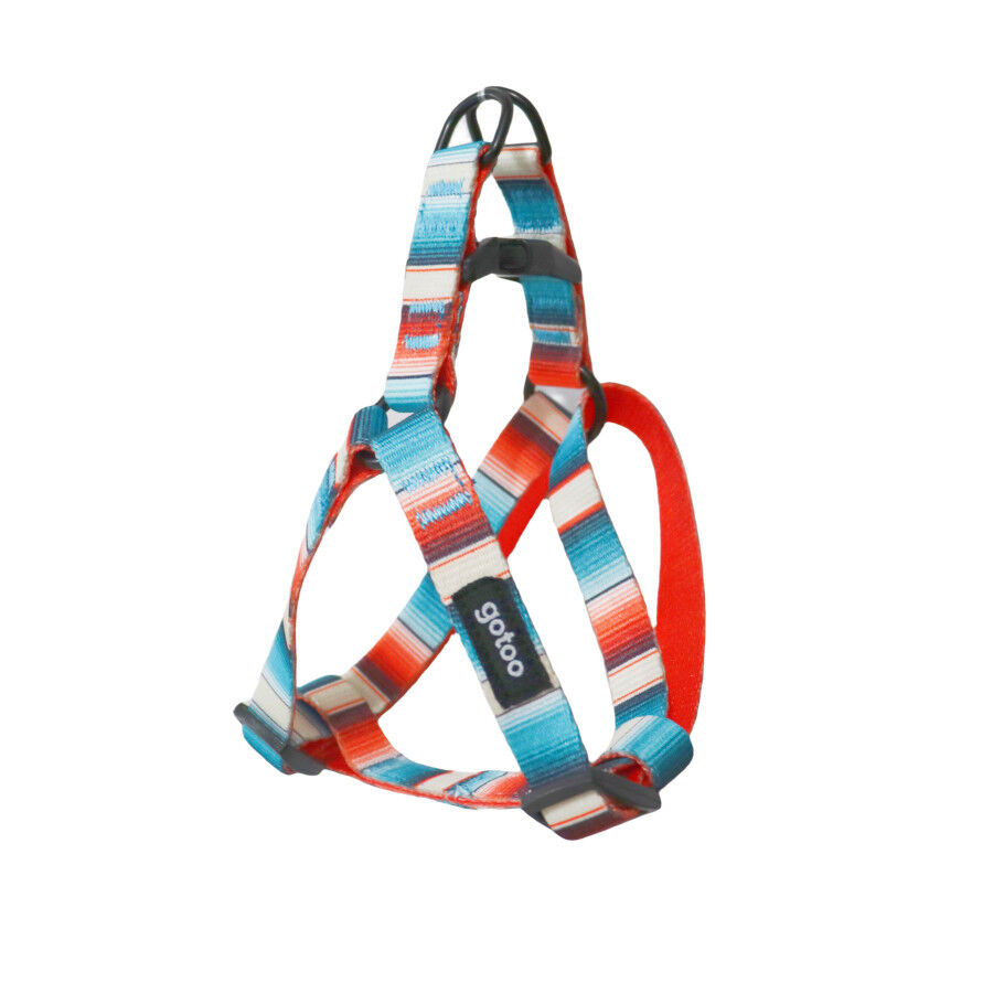 Gotoo Arn&eacute;s estampado de rayas multicolor para perros, , large Imagen numero 1