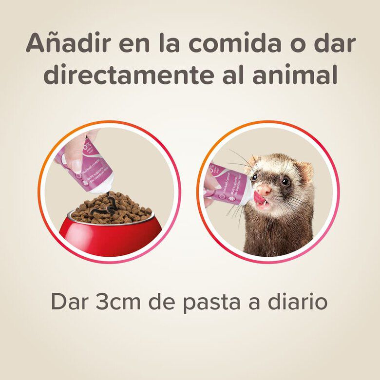 Beaphar Pasta de Malta para hurones4 Imagen numero 4