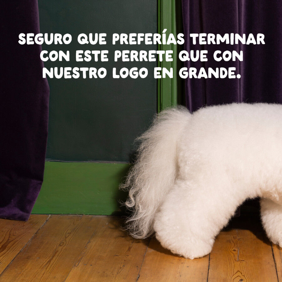 12 kg Edgard & Cooper Adult Cordero pienso para perros, , large Imagen numero 10