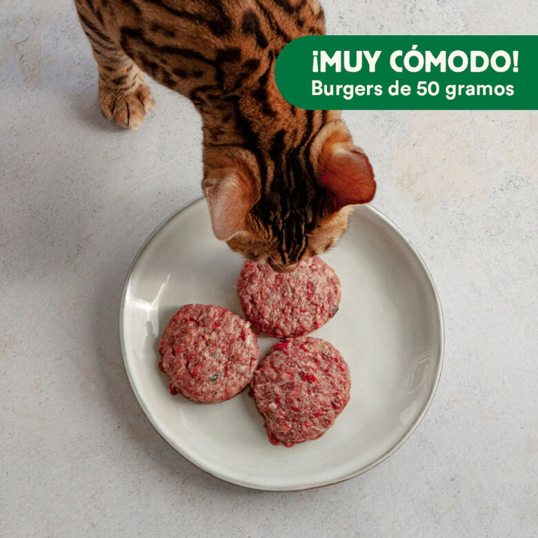 Wild Balance Menú Barf pollo con verduras comida congelada para gatos thumbnail