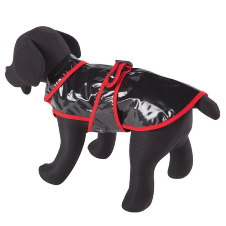 Arppe negro impermeable para galgos Imagen numero 1 Arppe negro impermeable para galgos Imagen numero 1