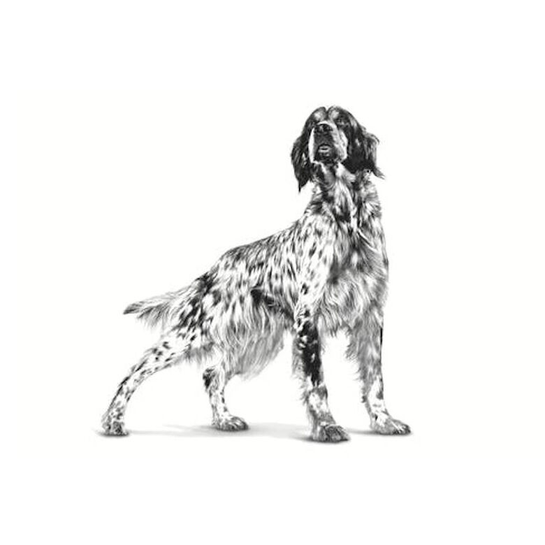 Royal Canin Gastrointestinal Low Fat lata para perros thumbnail