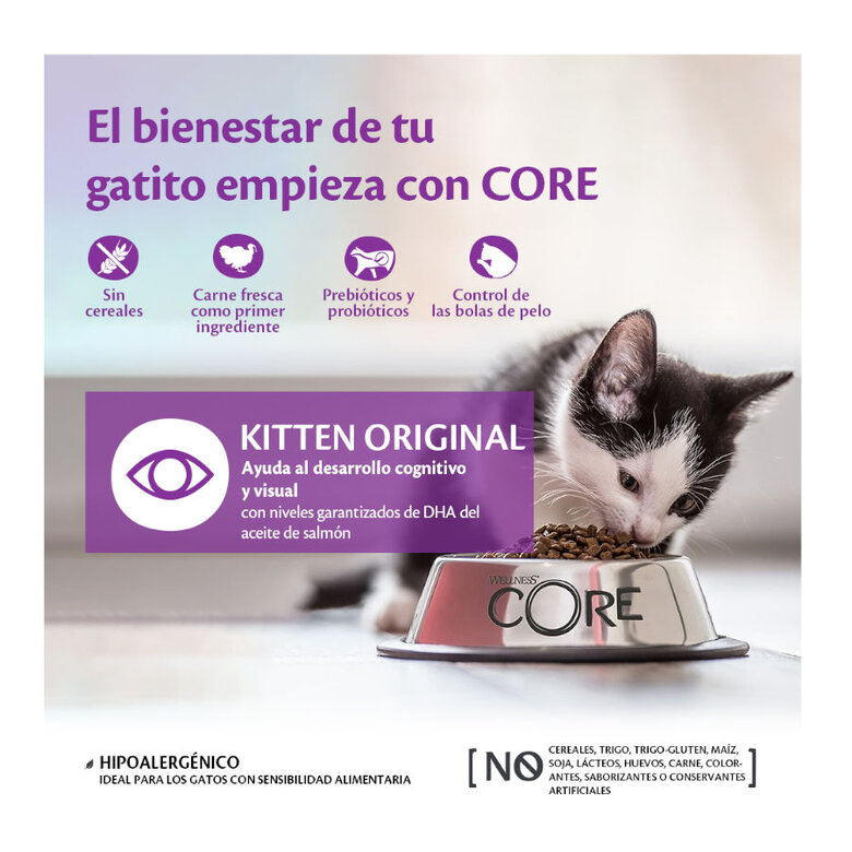 Wellness Core Kitten Pavo y Pollo pienso para gatos, , large image number null