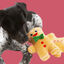 Wonder Christmas Muñeco de Jengibre peluche navideño para perros – Pack 2, , large indicador imagen numero 3