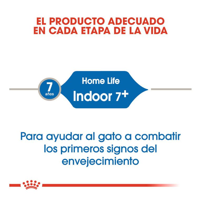 Royal Canin Home Life Indoor 7+ pienso para gatos thumbnail
