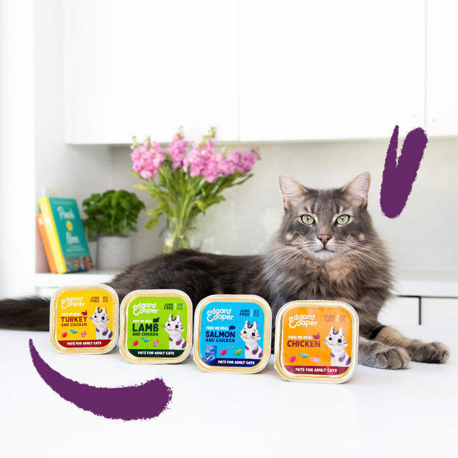 Edgard &amp; Cooper Adult Pavo y Pollo en Paté tarrina para gatos thumbnail