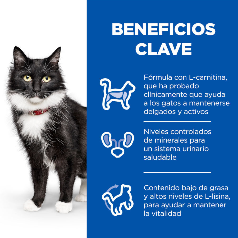 Hill&#039;s Science Plan Sterilised Mature Pescado Oceánico en Salsa sobre para gatos thumbnail