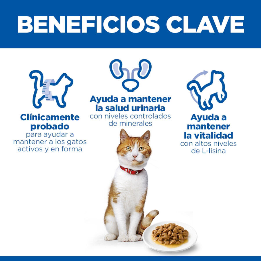 85 g Hill's Science Plan Sterilized Young Adult Salm&oacute;n sobre para gatos, , large Imagen numero 5